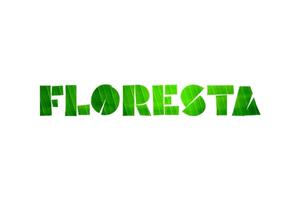 Imagem do Logotipo da empresa Floresta